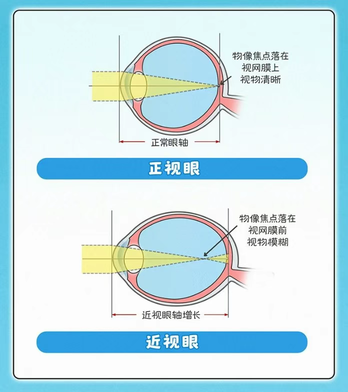 圖片.png